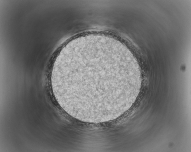 X0000116561208201001211215