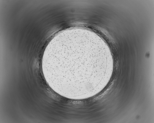 X0000116561209201001211215