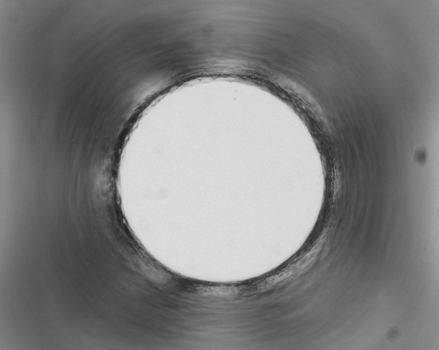 X0000116561210201001211215