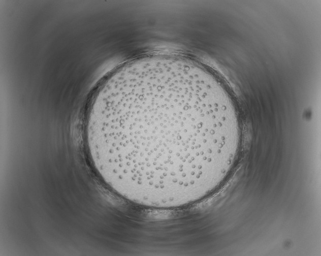 X0000116561211201001211215