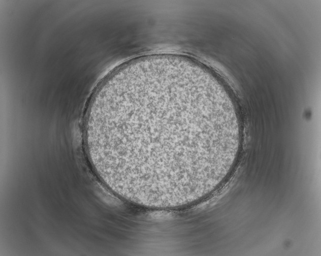 X0000116561212201001211215