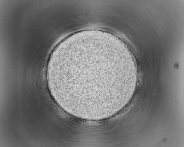 X0000116561216201001211216