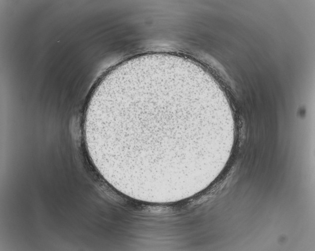 X0000116561218201001211216