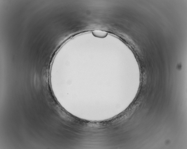 X0000116561220201001211216