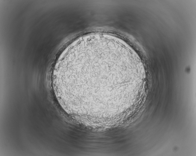 X0000116561221201001211216