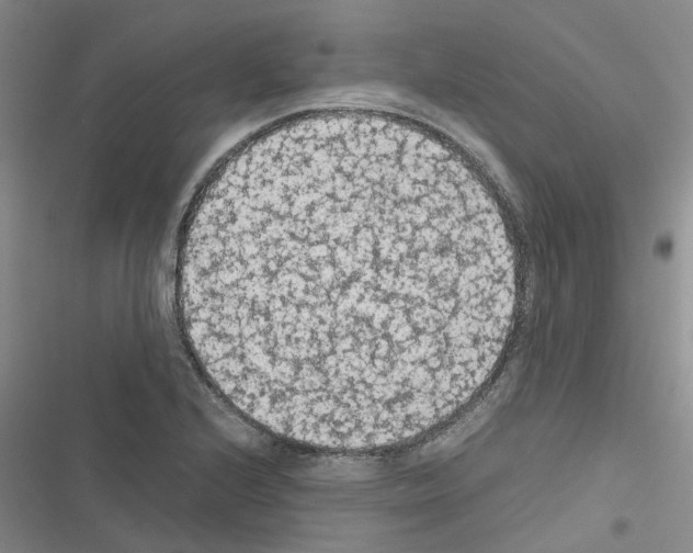 X0000116561224201001211216