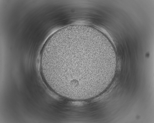 X0000116561227201001211216