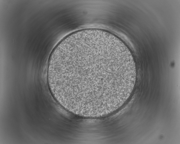 X0000116561228201001211216