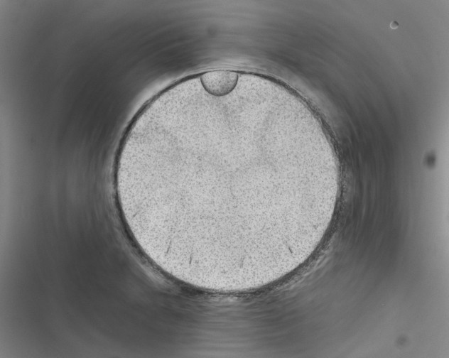 X0000116561230201001211216