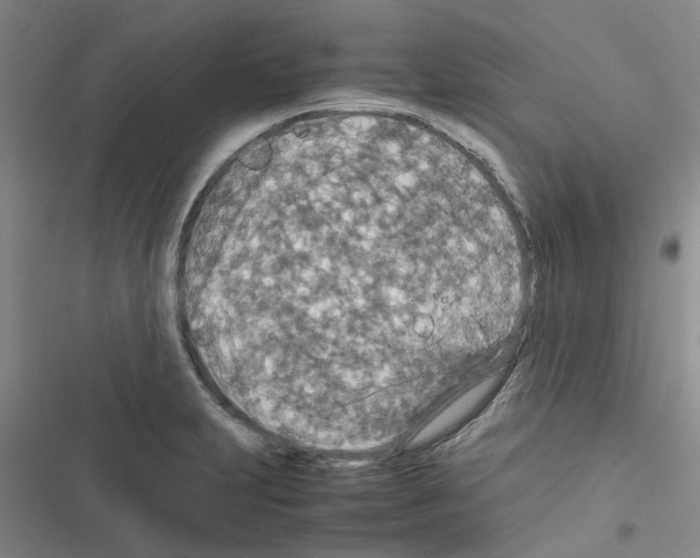 X0000116561231201001211216