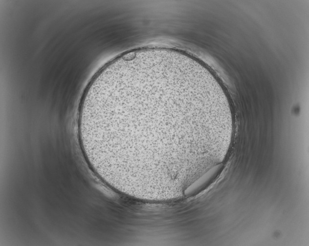 X0000116561232201001211216