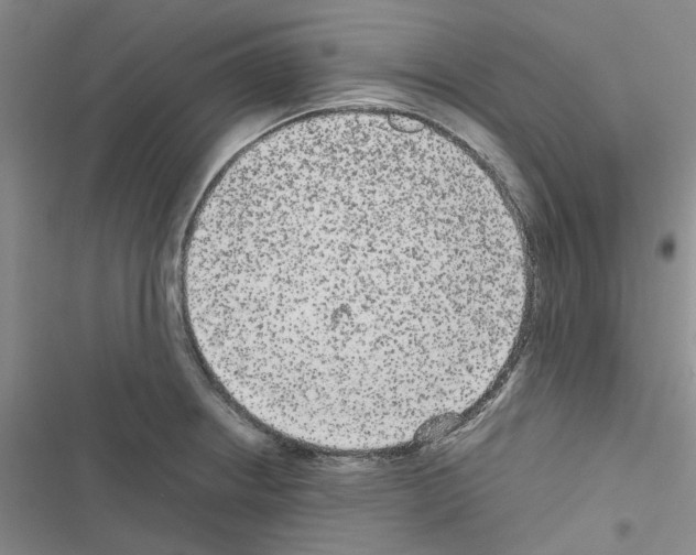 X0000116561234201001211216