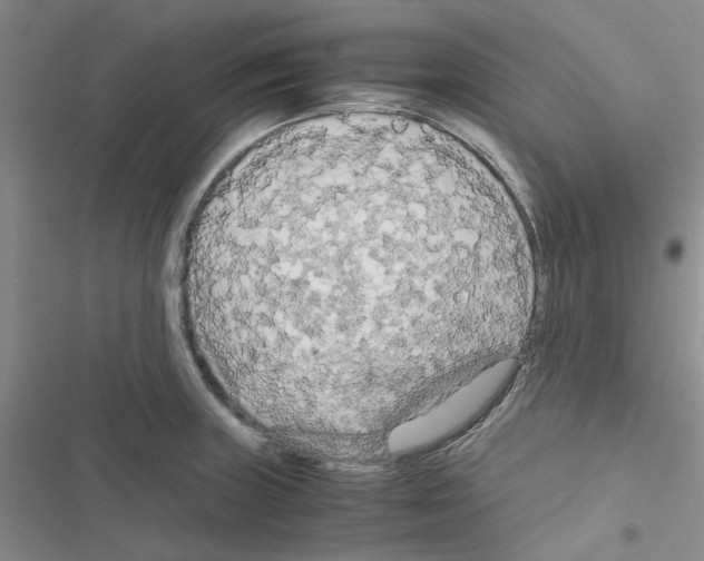 X0000116561235201001211216