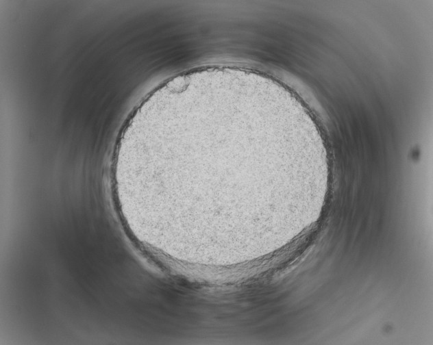 X0000116561237201001211216