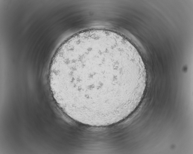 X0000116561240201001211216