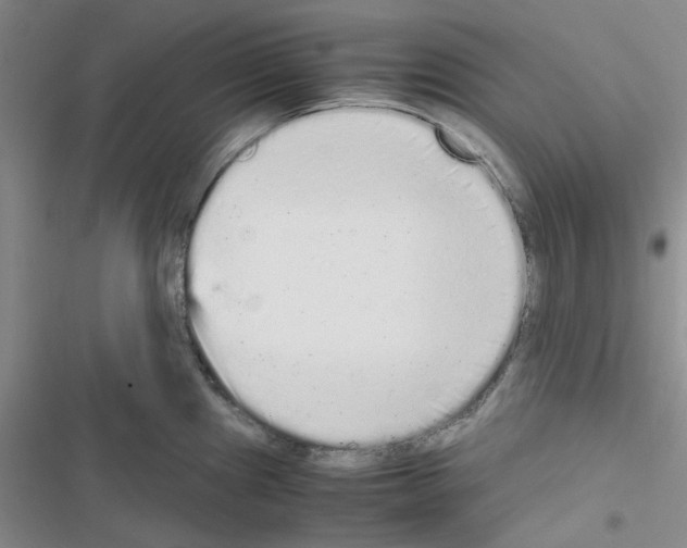 X0000116561241201001211216