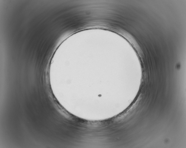 X0000116561242201001211216