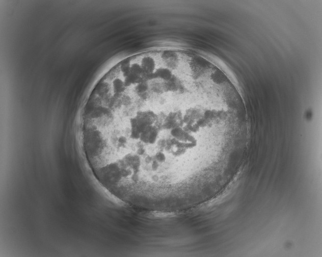 X0000116561243201001211216