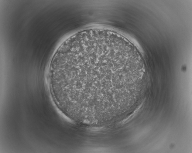 X0000116561247201001211216