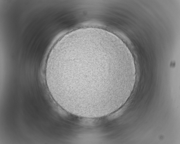 X0000116561248201001211216