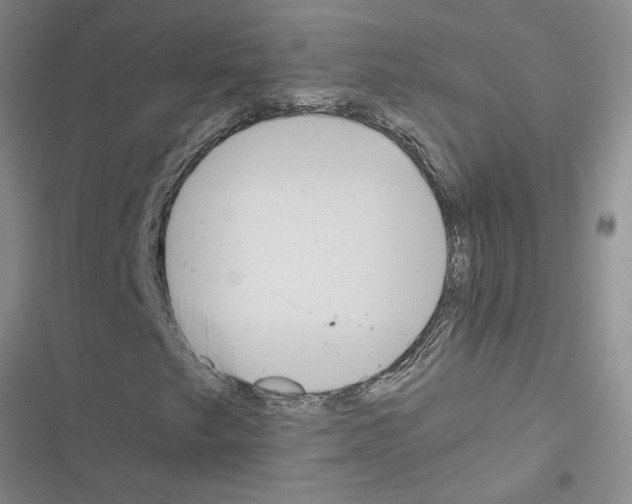 X0000116561249201001211215