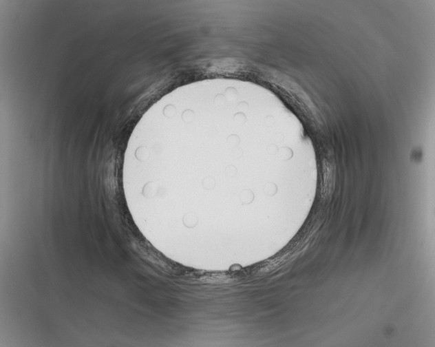 X0000116561250201001211215