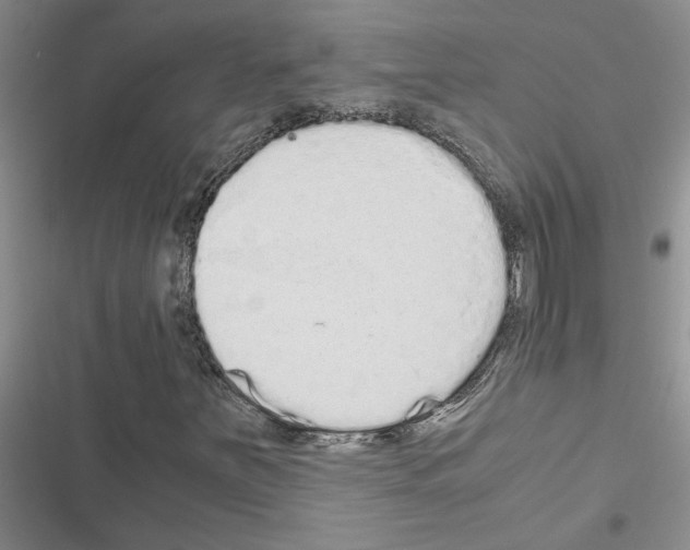 X0000116561251201001211215
