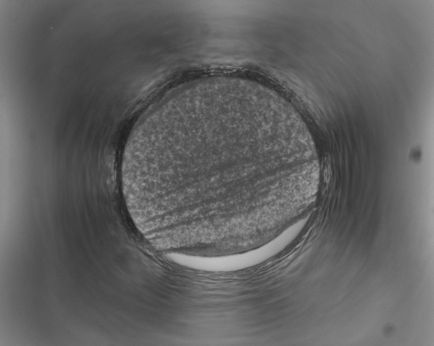 X0000116561252201001211215