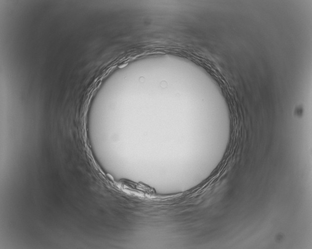 X0000116561253201001211215