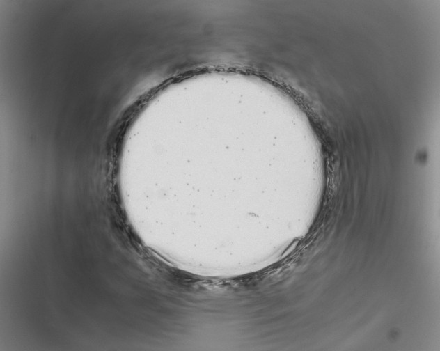 X0000116561255201001211215