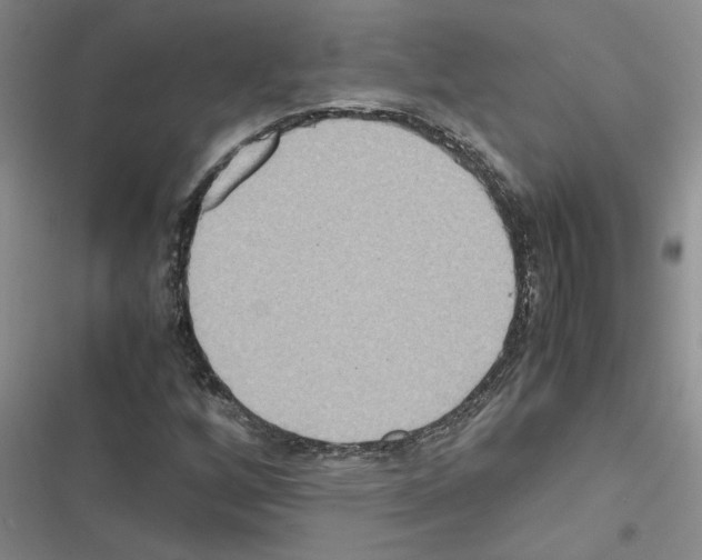 X0000116561256201001211215
