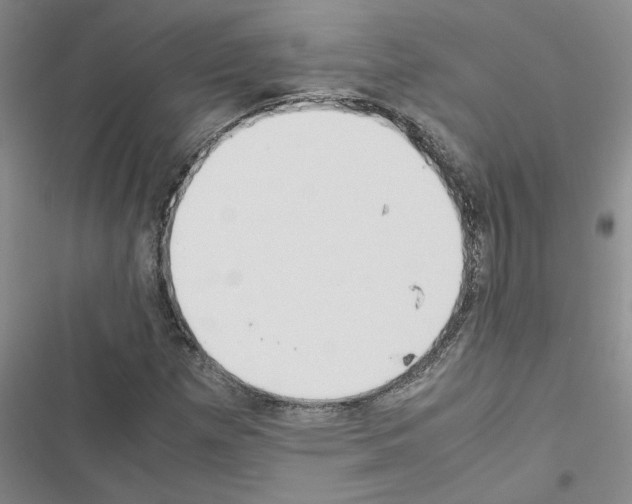 X0000116561257201001211215