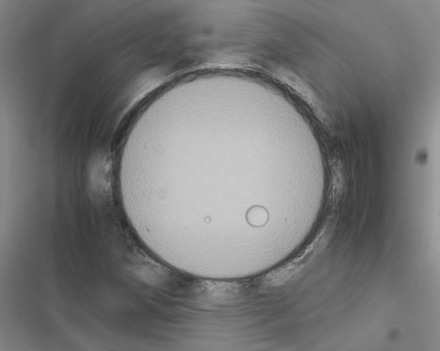 X0000116561258201001211215