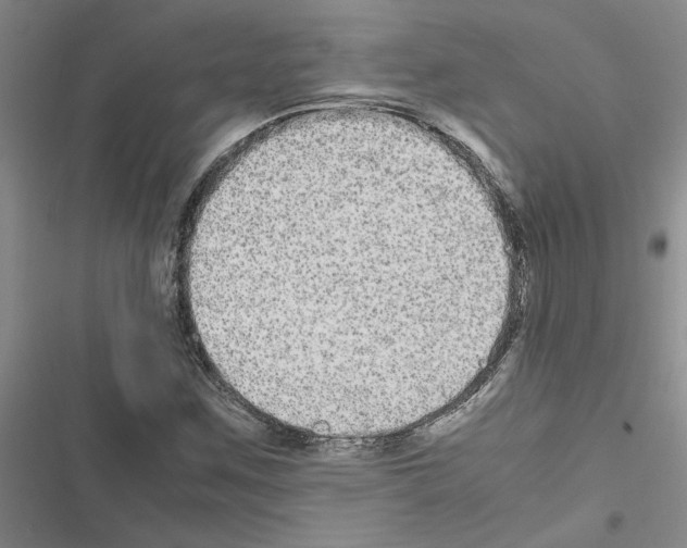 X0000116561259201001211215