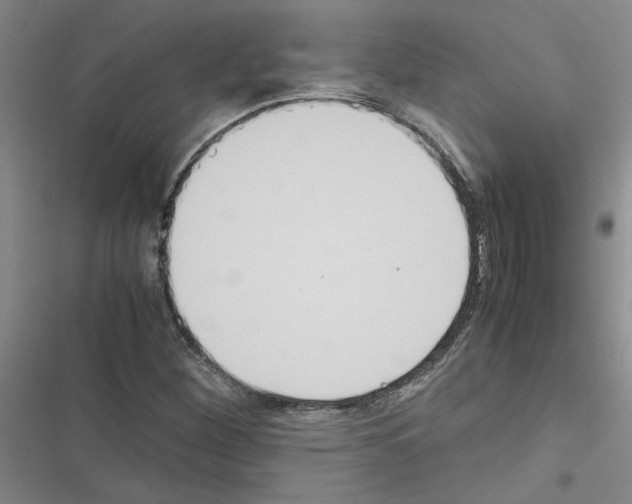 X0000116561260201001211215
