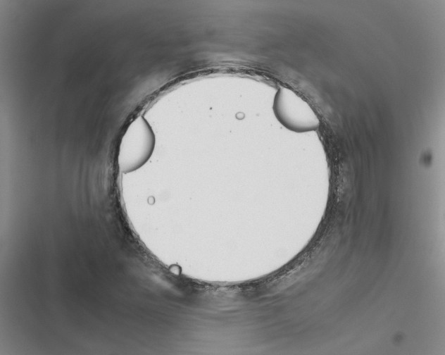 X0000116561261201001211215