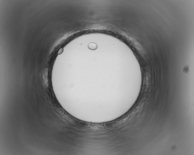 X0000116561262201001211215