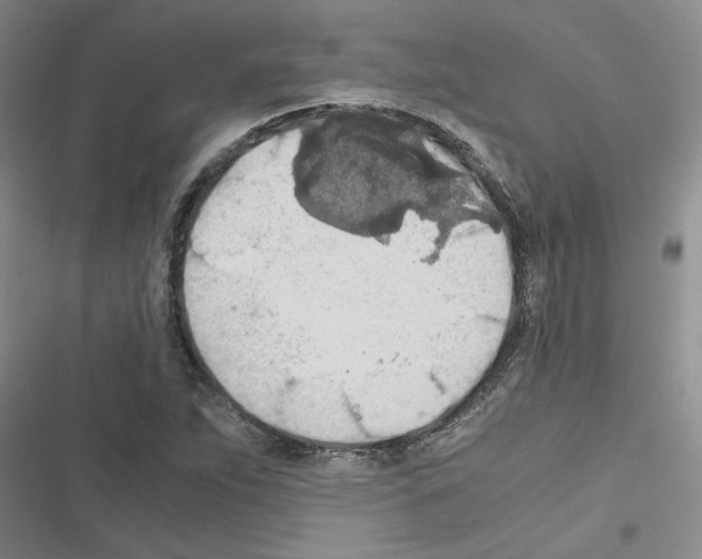X0000116561263201001211215