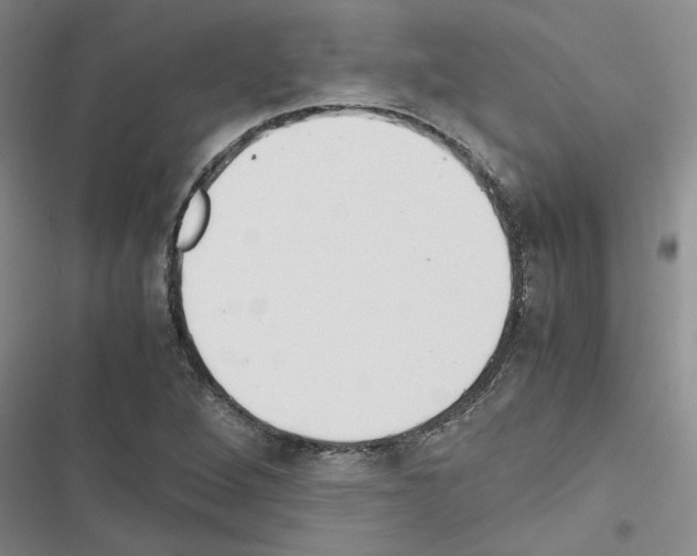 X0000116561264201001211215