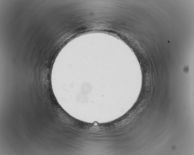 X0000116561265201001211215