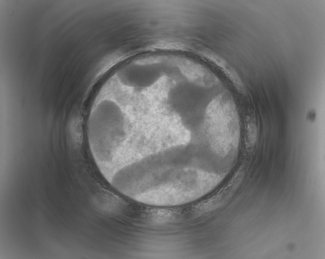 X0000116561266201001211215