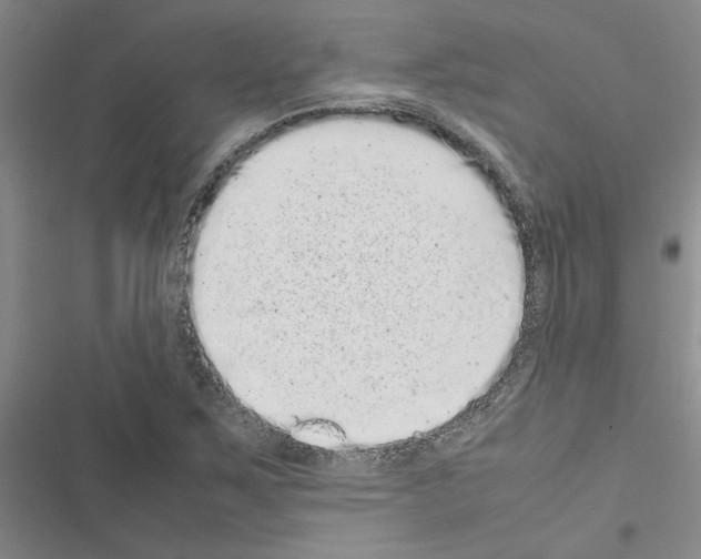 X0000116561267201001211215