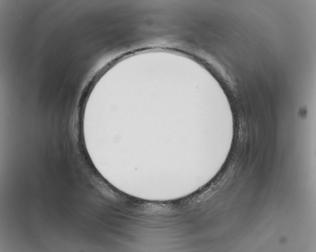 X0000116561270201001211215