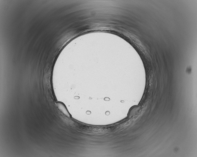 X0000116561273201001211215
