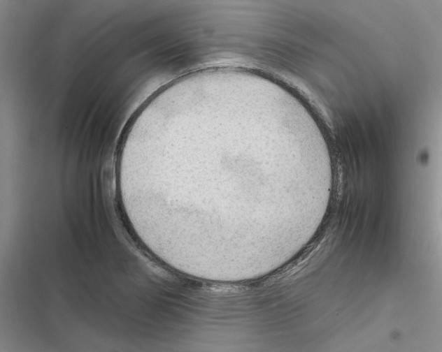 X0000116561274201001211215