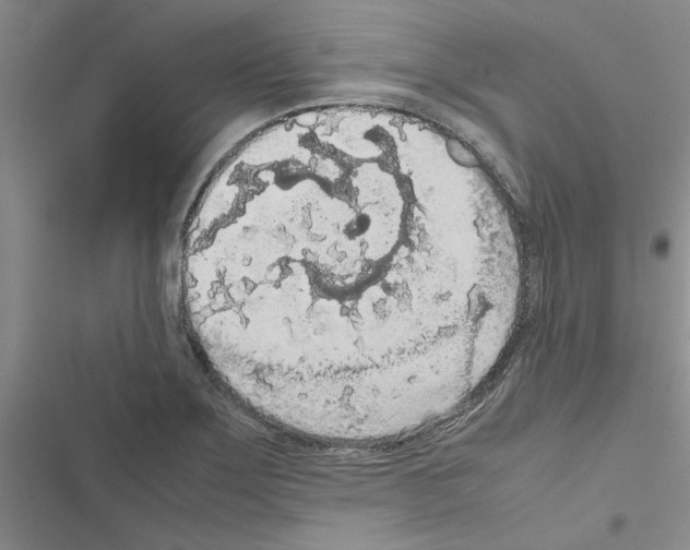 X0000116561275201001211215