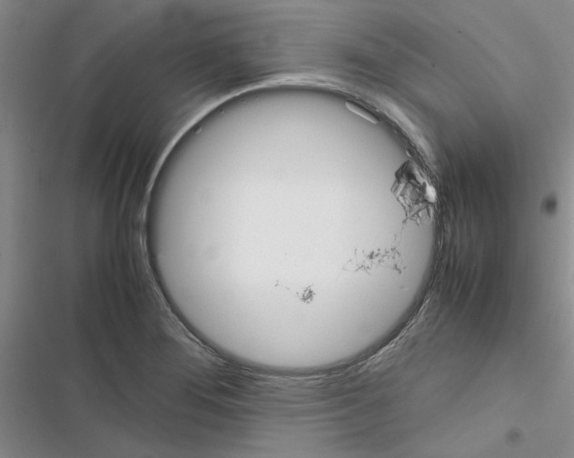 X0000116561276201001211215