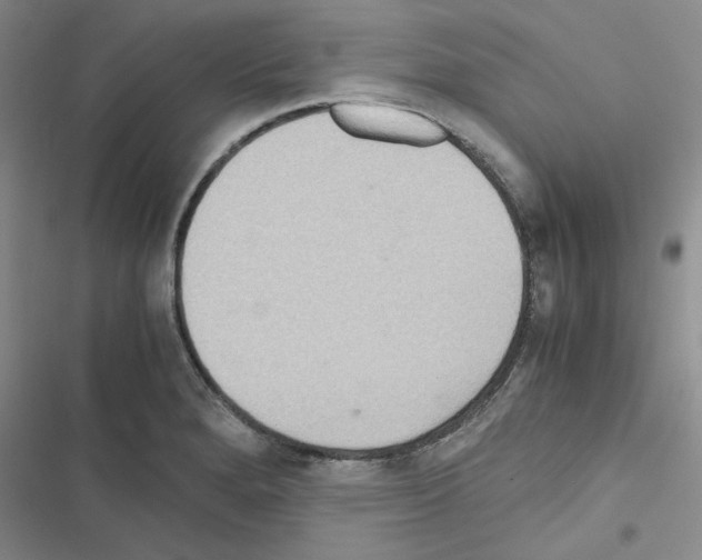 X0000116561280201001211215