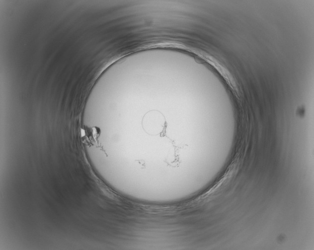 X0000116561281201001211215