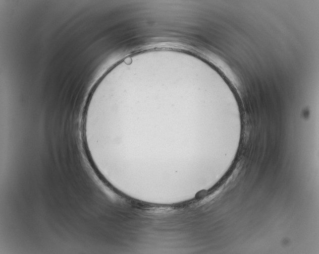 X0000116561282201001211215